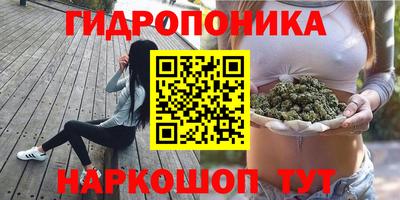 молекула духа Обь