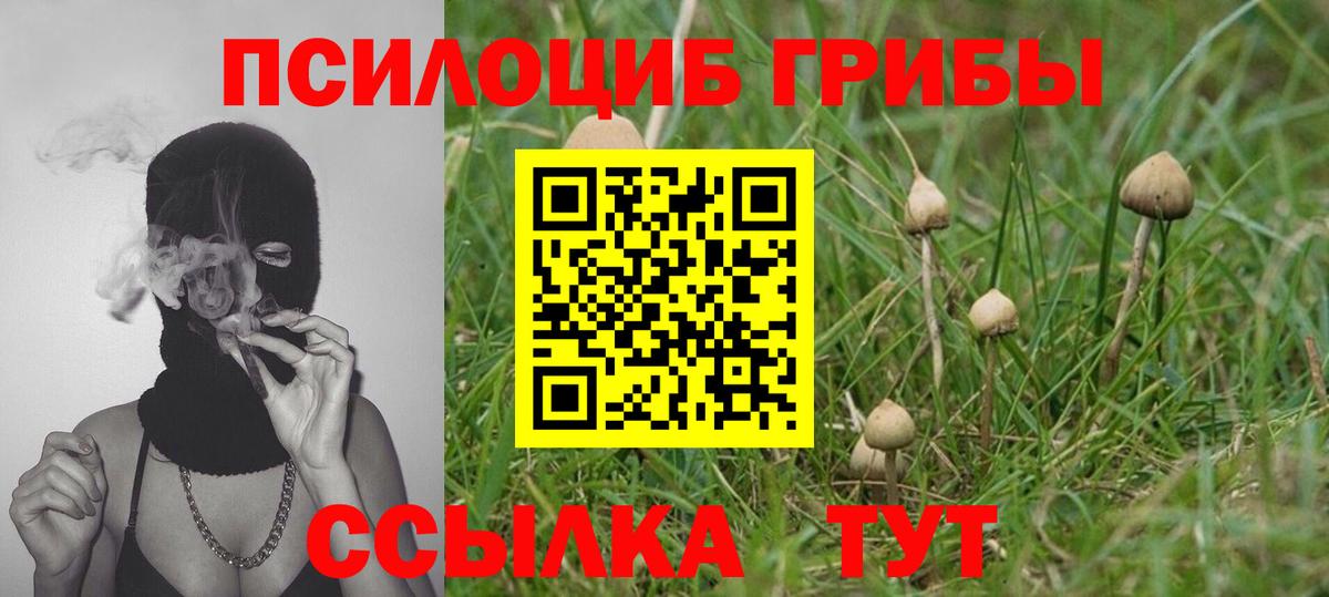 Псилоцибиновые грибы мухоморы  Вход с VPN  Галлюциногенные грибы мицелий  Ростов Великий 